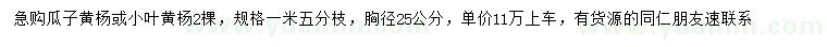 求购胸径25公分瓜子黄杨或小叶黄杨