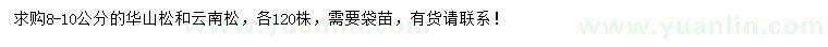 求购8-10公分华山松、云南松