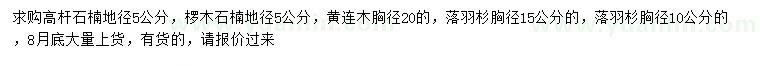 求购高杆石楠、椤木石楠、黄连木等