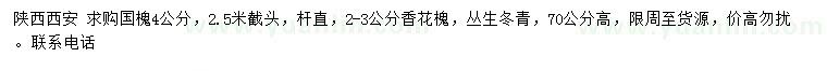 求购国槐、香花槐、丛生冬青