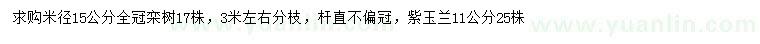 求购米径15公分栾树、11公分紫玉兰