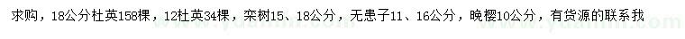 求购杜英、栾树、无患子等