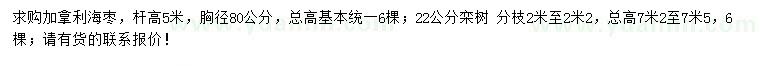 求购胸径80公分加拿利海枣、22公分栾树