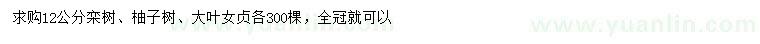 求购栾树、柚子树、大叶女贞