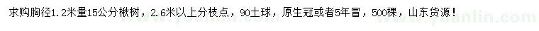 求购胸径1.2米量15公分楸树