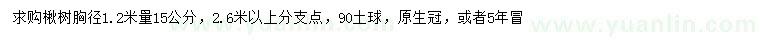 求购1.2米量15公分楸树