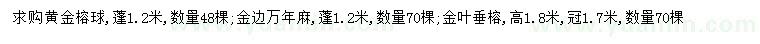 求购黄金榕球、金边万年麻、金叶垂榕