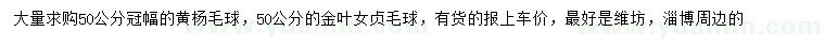 求购冠幅50公分黄杨毛球、金叶女贞毛球