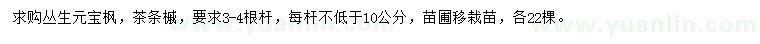 求购丛生元宝枫、茶条槭