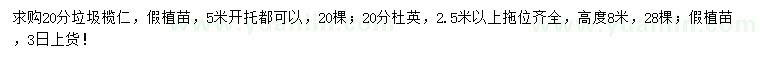 求购20公分榄仁、杜英