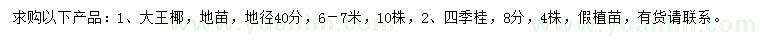 求购地径40公分大王椰、8公分四季桂