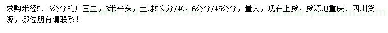 求购米径5、6公分广玉兰