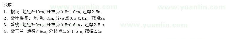 求购樱花、紫叶矮樱、碧桃等