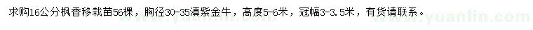 求购16公分枫香移栽苗、胸径30-35公分滇紫金牛