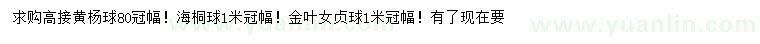 求购高接黄杨球、海桐球、金叶女贞球