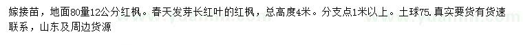 求购地面80量12公分红枫