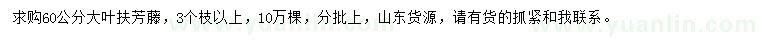 求购60公分大叶扶芳藤