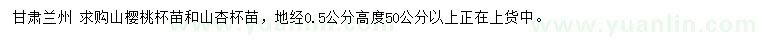 求购高50公分以上山樱桃、山杏