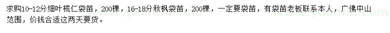 求购10-12公分细叶榄仁、16-18公分红枫