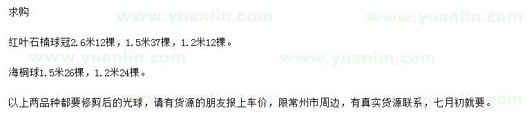 求购冠幅1.5、2.6米红叶石楠球、1.2、1.5米海桐球