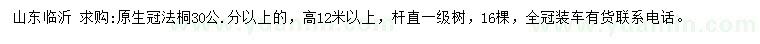 求购30公分以上法桐