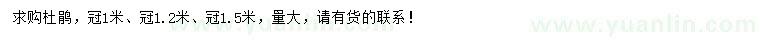 求购冠幅1、1.2、1.5米杜鹃