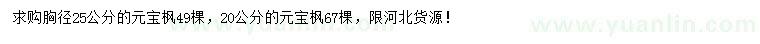 求购胸径20、25公分元宝枫