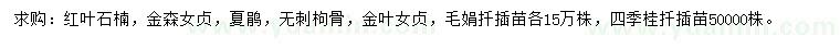 求购红叶石楠苗、金森女贞苗、夏鹃苗等