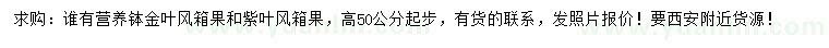 求购高50公分起金叶风箱果、紫叶风箱果