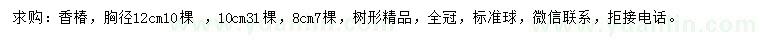 求购胸径8、10、12公分香椿