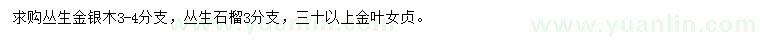 求购金银木、石榴、金叶女贞