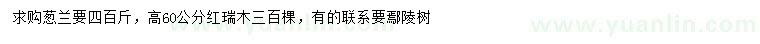 求购葱兰、高60公分红瑞木