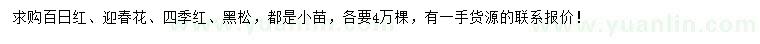 求购百日红、迎春花、四季红等