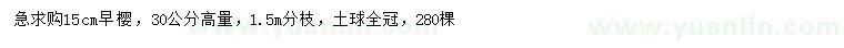 求购30公分高量15公分早樱