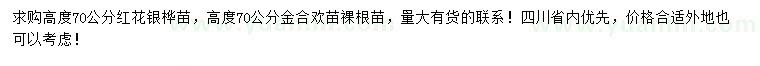 求购高70公分红花银桦、金合欢