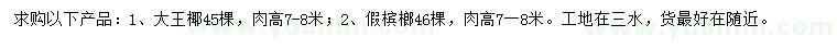 求购高7-8米大王椰、假槟榔