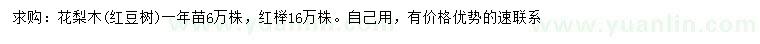 求购一年生花梨木、红榉小苗