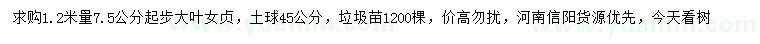 求购1.2米量7.5公分起步大叶女贞