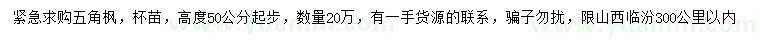 求购高50公分起步五角枫