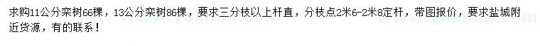 求购11、13公分栾树