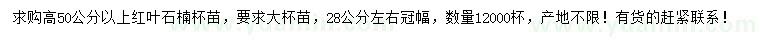 求购高50公分以上红叶石楠