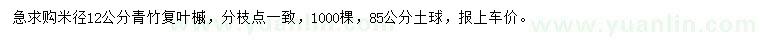 求购米径12公分青竹复叶槭