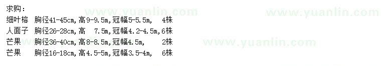 求购细叶榕、人面子、芒果