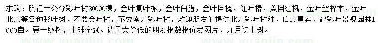 求购金叶复叶槭、金叶白腊、金叶国槐等