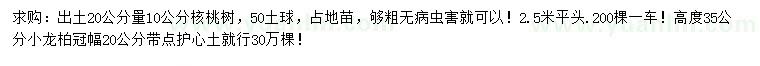 求购20量10公分核桃、高35公分小龙柏