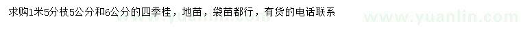 求购5、6公分四季桂