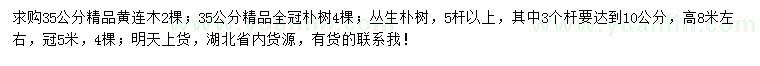 求购黄连木、朴树、丛生朴树