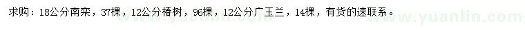 求购南栾、椿树、广玉兰