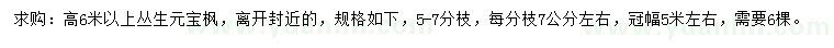 求购高6米以上元宝枫