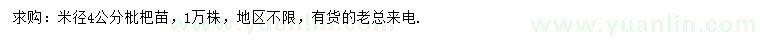 求购米径4公分枇杷